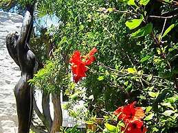 Alternative Space B & B