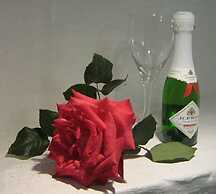 Alternative Space B & B