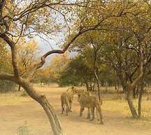 Ukutula Lodge & Game Reserve