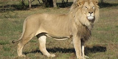 Ukutula Lodge & Game Reserve