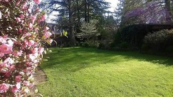 Garden Oasis Near Downtown