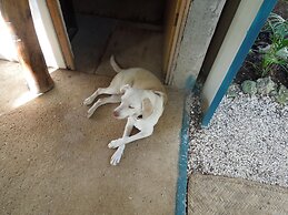 ContainME Eco Chic Hotel