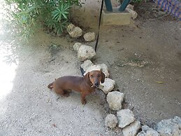 ContainME Eco Chic Hotel