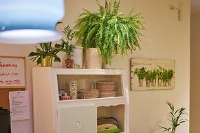 Napoli Tree - Lungomare