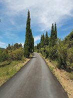 Mas del Sord 1335