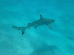 Hôtel Fenua Mata'i'oa