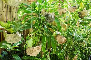 Hôtel Fenua Mata'i'oa