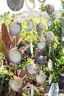 Hôtel Fenua Mata'i'oa