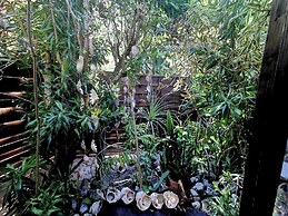 Hôtel Fenua Mata'i'oa