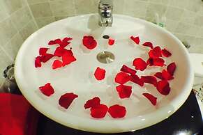 Coconut Garden Homestay Hoi An