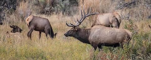 Paradise Gateway B&B and Vacation Homes