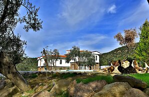 Merada Termal Hotel & Spa