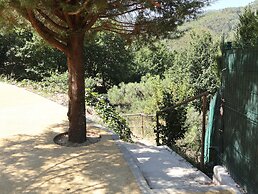 Cantinho das Oliveiras