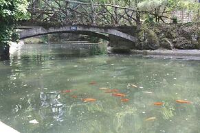 Cantinho das Oliveiras