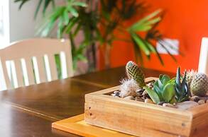 Bed & Bike Curacao Hostel