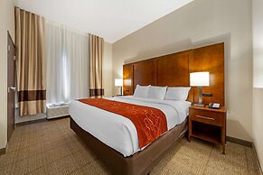 Comfort Suites La Vista - Omaha