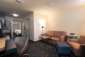 Holiday Inn Hotels and Suites Mount Pleasant by IHG
