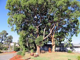 The Highlander Motel - 24HR Check In