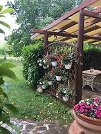 Agriturismo Podere Bucine Basso