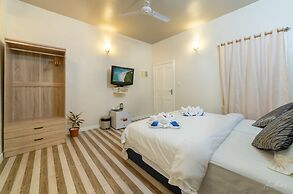 Starry Night At Ukulhas