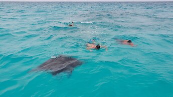 Starry Night At Ukulhas