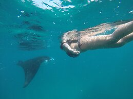 Starry Night At Ukulhas