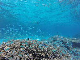 Starry Night At Ukulhas