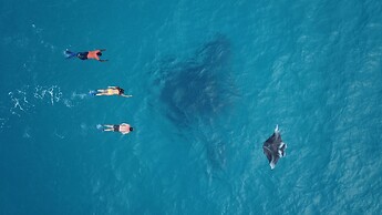 Starry Night At Ukulhas
