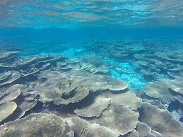 Starry Night At Ukulhas
