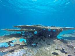 Starry Night At Ukulhas