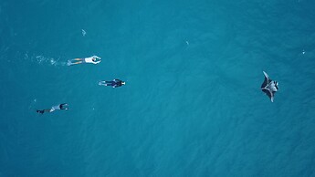Starry Night At Ukulhas