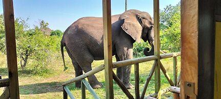 Engiri Game Lodge and Campsite