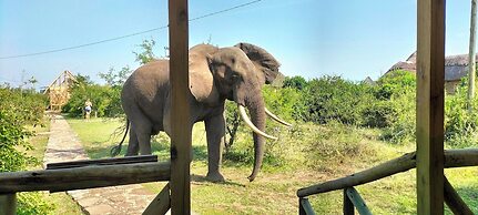 Engiri Game Lodge and Campsite