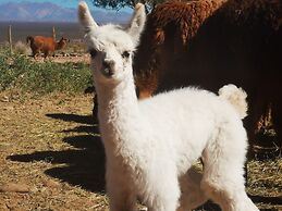 Complejo Río los Patos - Cabañas y Hostel