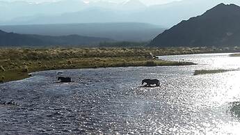 Complejo Río los Patos - Cabañas y Hostel