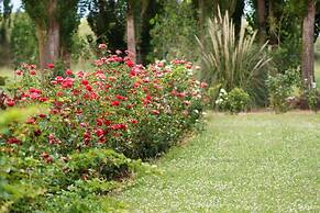 Complejo Río los Patos - Cabañas y Hostel