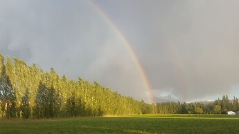 Complejo Río los Patos - Cabañas y Hostel