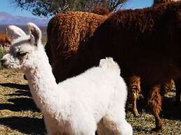 Complejo Río los Patos - Cabañas y Hostel