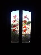 Complejo Río los Patos - Cabañas y Hostel