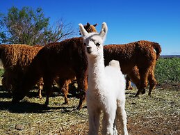 Complejo Río los Patos - Cabañas y Hostel