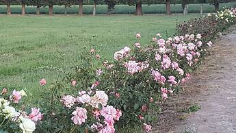 Complejo Río los Patos - Cabañas y Hostel