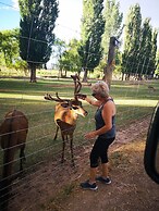 Complejo Río los Patos - Cabañas y Hostel