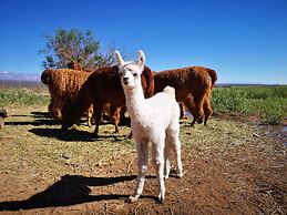Complejo Río los Patos - Cabañas y Hostel