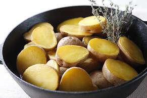 Loghotel The Maplelodge