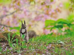 Loghotel The Maplelodge