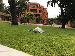 Away Las Tortugas Beachfront