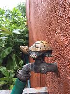 Away Las Tortugas Beachfront