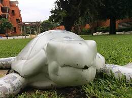 Away Las Tortugas Beachfront