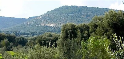 L'antico Trullo