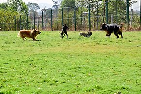 Manas Resort with Petting Zoo